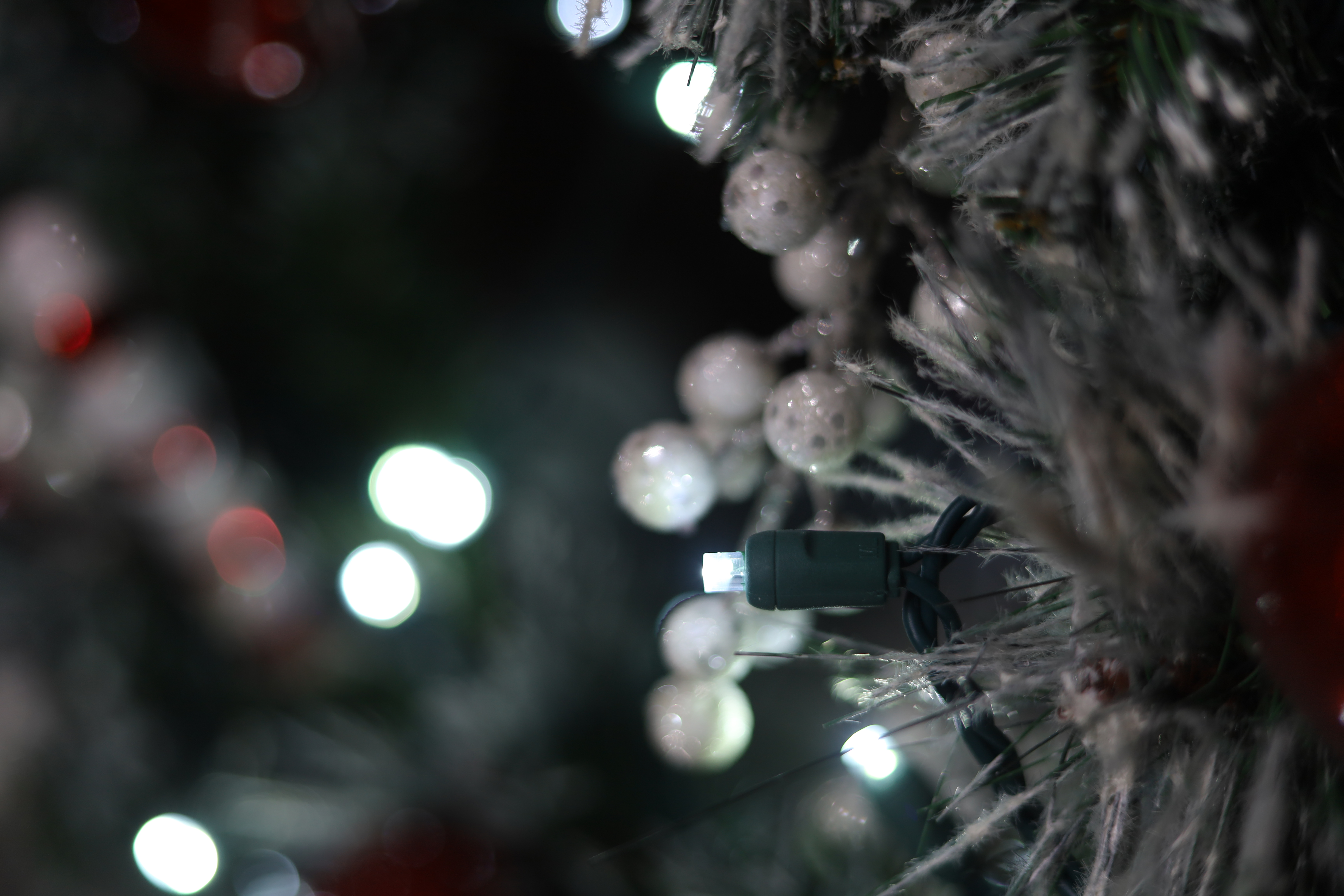 Mini guirlande lumineuse LED UL grand angle, lumières de Noël blanc froid, utilisation extérieure et intérieure UL