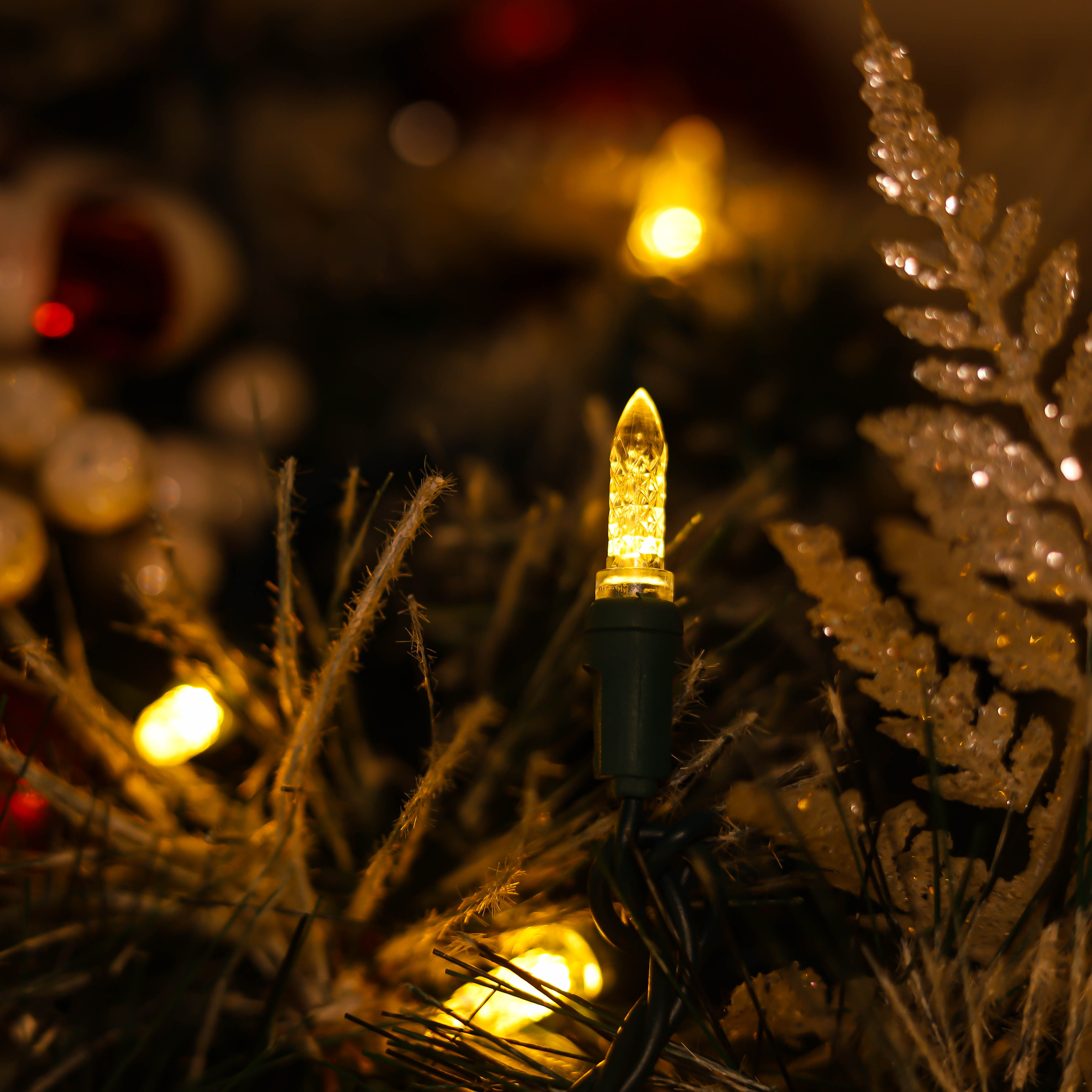 Lumières de Noël à LED M5 blanc chaud certifiées UL