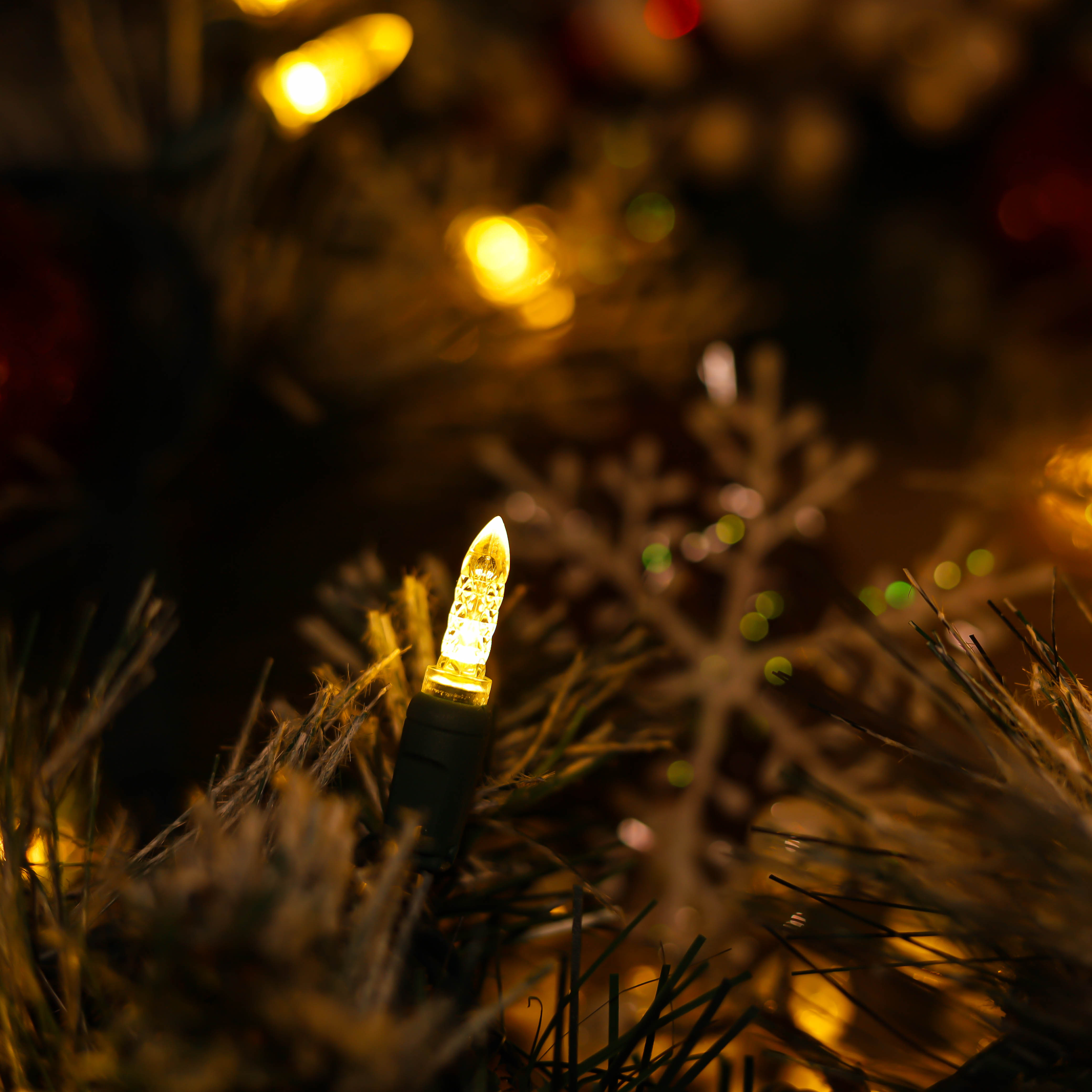 Lumières de Noël à LED M5 blanc chaud certifiées UL