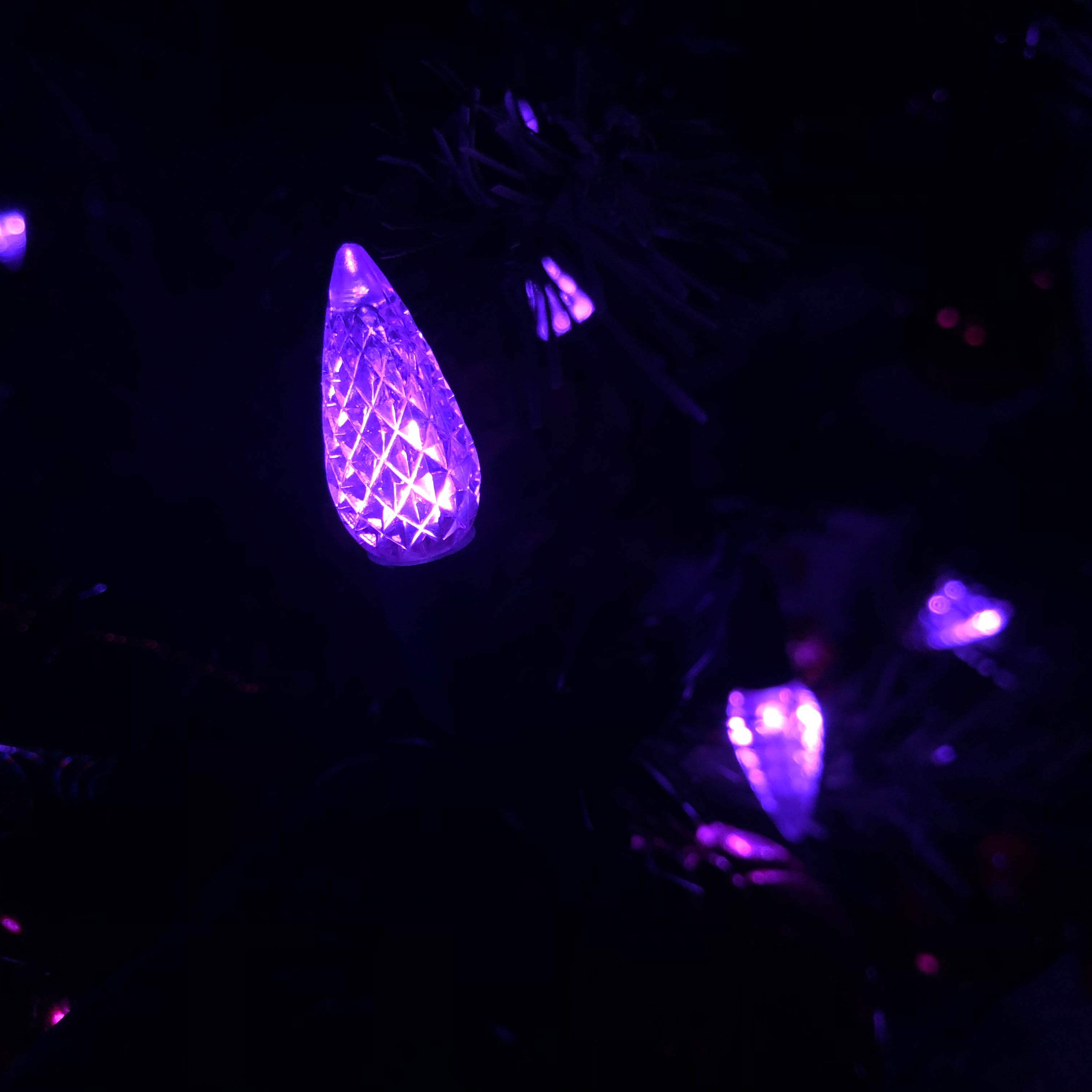 Guirlande lumineuse LED C6 fraise, ensemble de lumières violettes UL