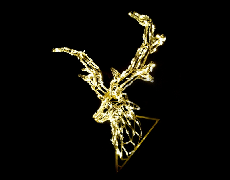CERF002