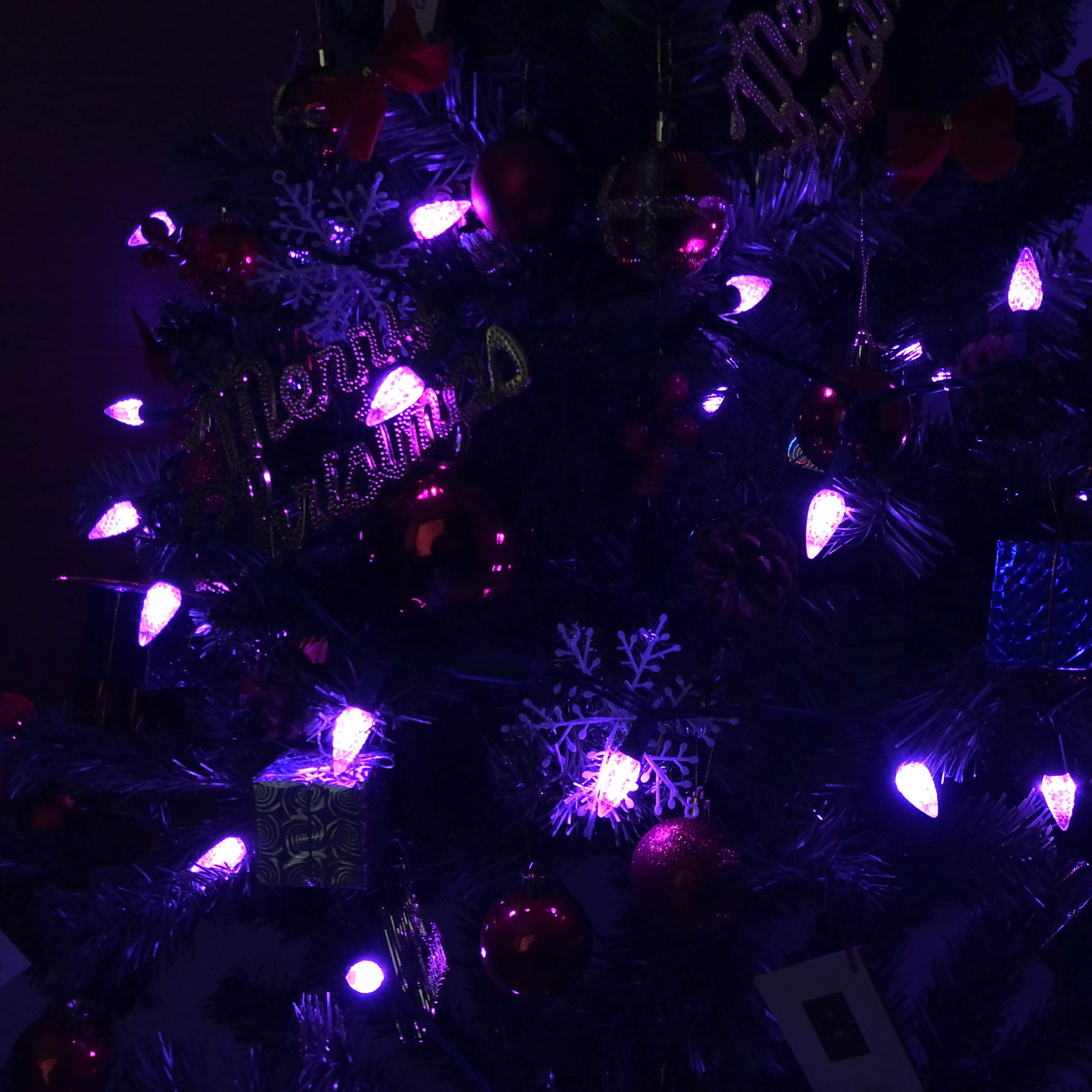 Guirlande lumineuse LED C6 fraise, ensemble de lumières violettes UL