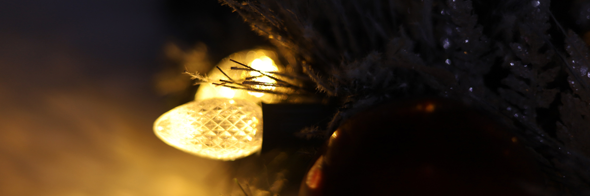 Ampoules de remplacement C7 de No&euml;l 