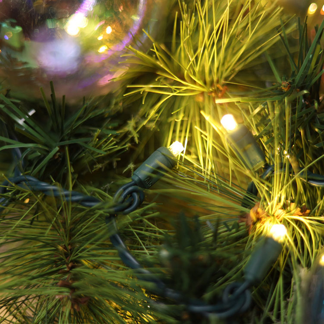 La mini ficelle de LED du grand angle 5MM allume l'usage extérieur blanc chaud de ficelle de lumière de Noël d'UL