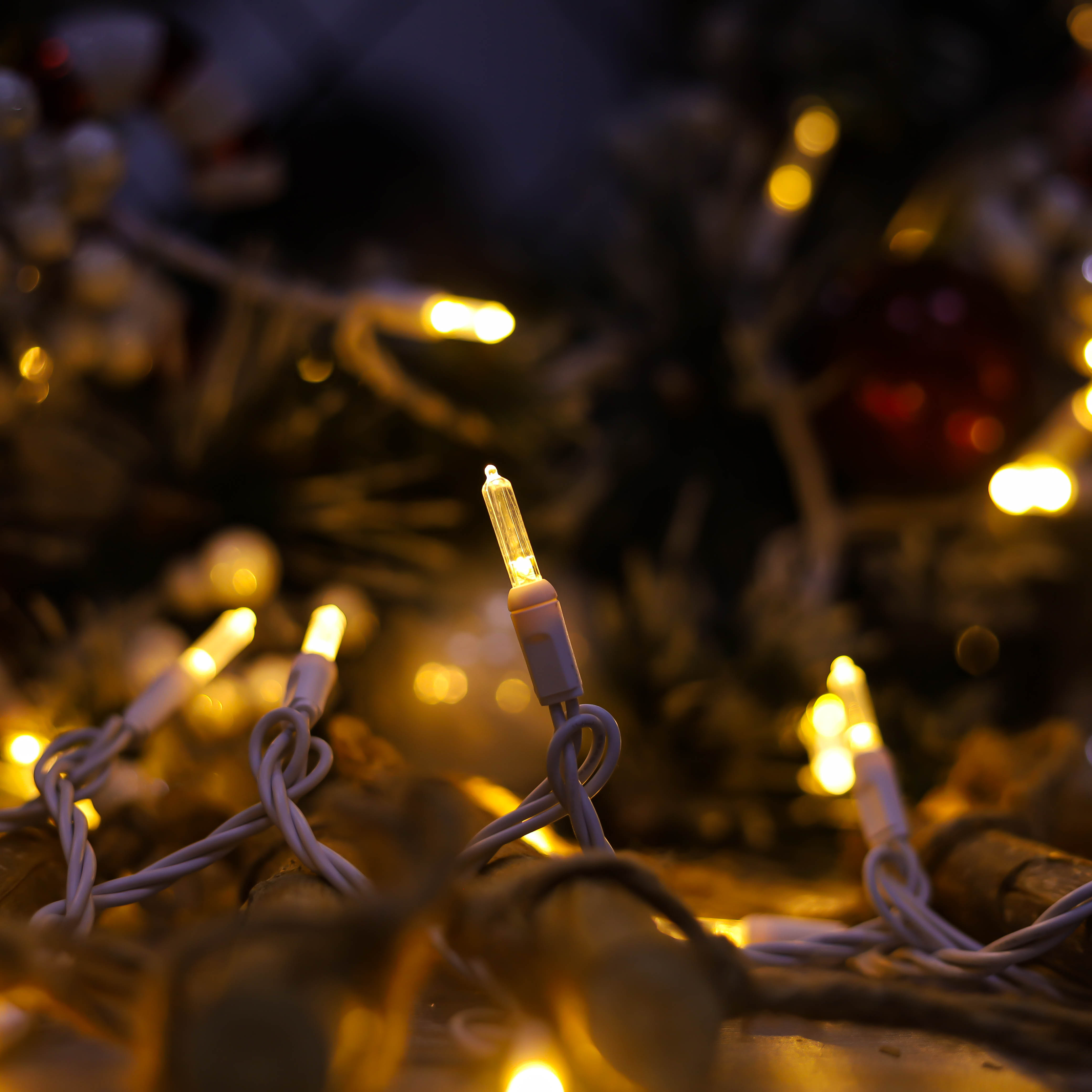 T5 Feux LED de Noël UL WHITE UL