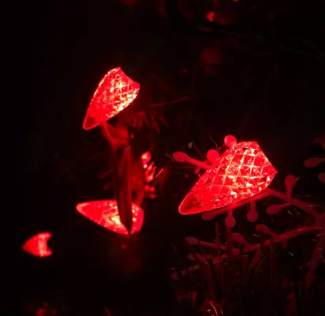 Solaire contre. Guirlande lumineuse enfichable : laquelle vous convient le mieux ?